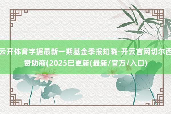 云开体育字据最新一期基金季报知晓-开云官网切尔西赞助商(2025已更新(最新/官方/入口)
