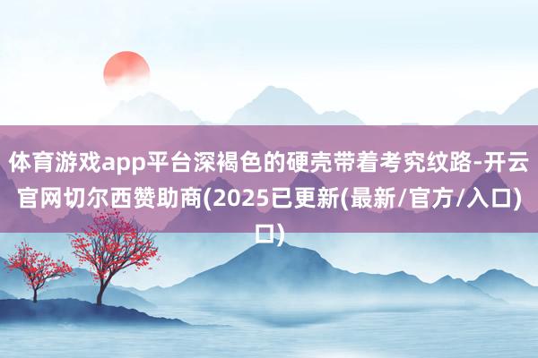 体育游戏app平台深褐色的硬壳带着考究纹路-开云官网切尔西赞助商(2025已更新(最新/官方/入口)