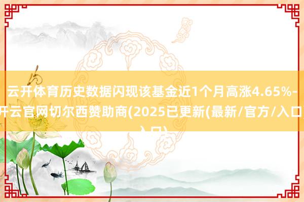 云开体育历史数据闪现该基金近1个月高涨4.65%-开云官网切尔西赞助商(2025已更新(最新/官方/入口)